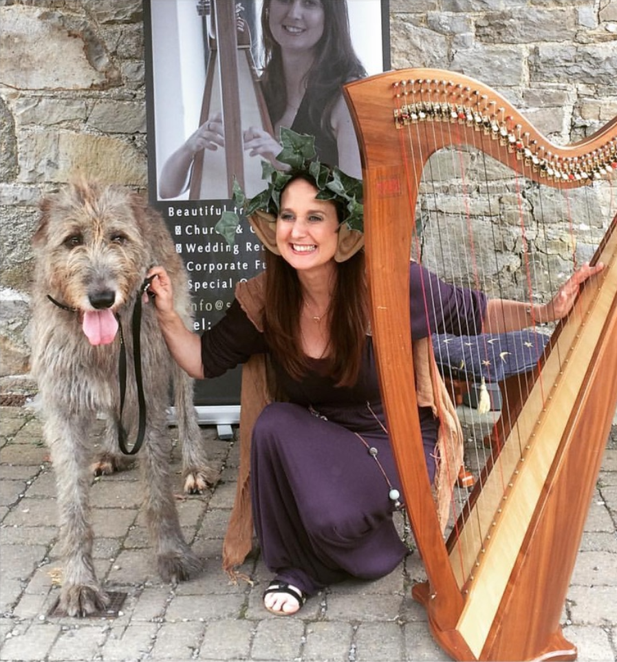 Northern Ireland classical and traditional harp